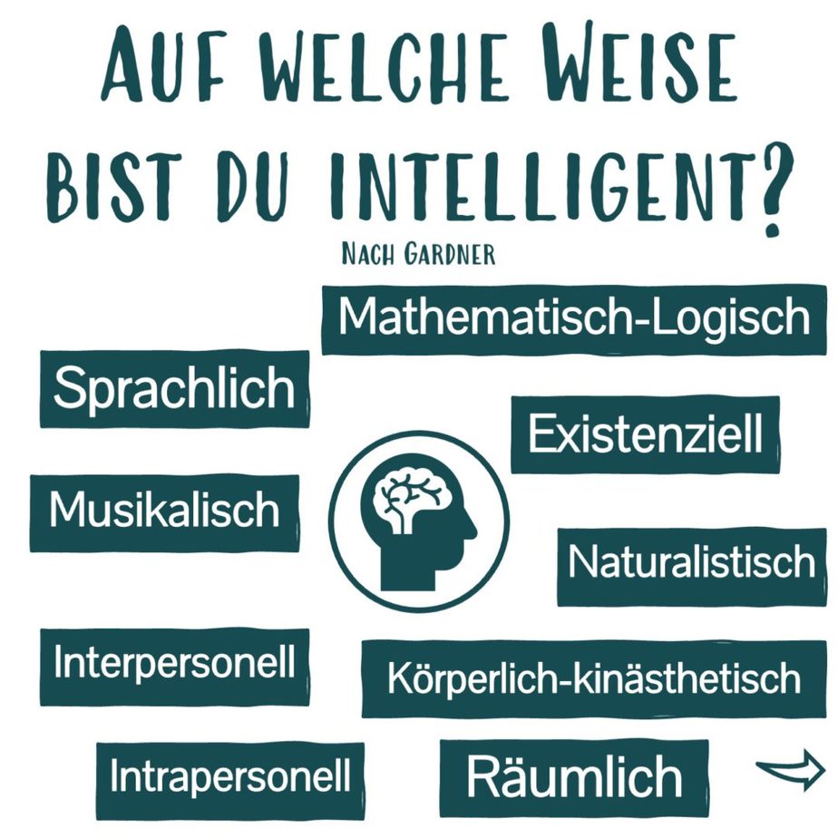 Multiple Intelligenzen Wachstum begleiten. Kinder verstehen